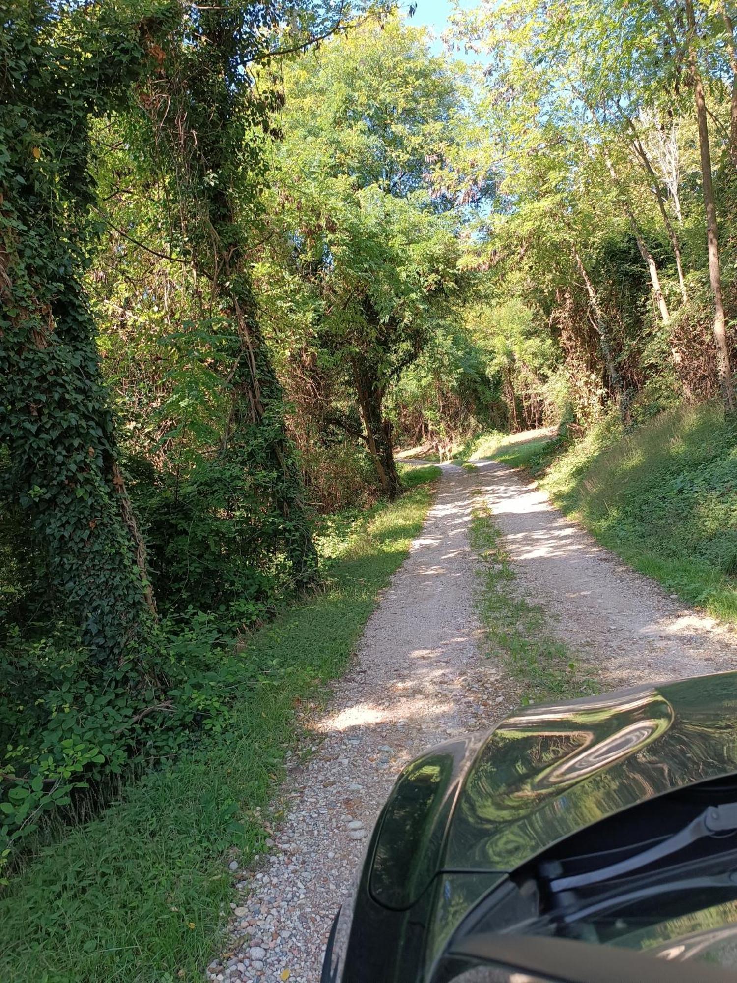 La Collina Delle Api Castelcucco