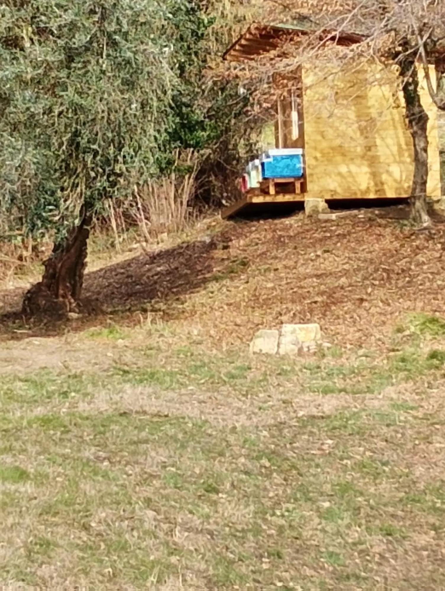 La Collina Delle Api